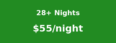 28+ Nights
